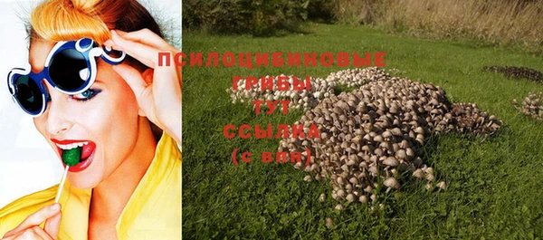 хмурый Алексин