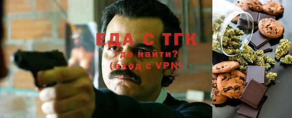 хмурый Алексин
