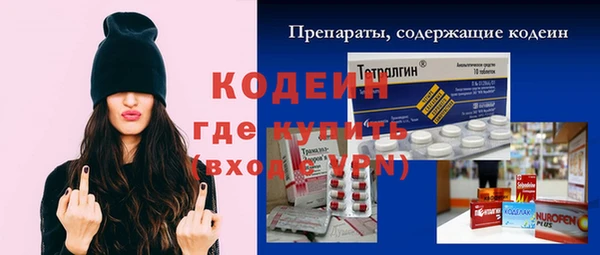 хмурый Алексин