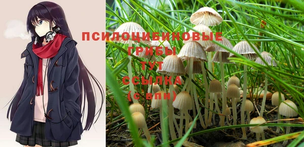 ешки Алзамай