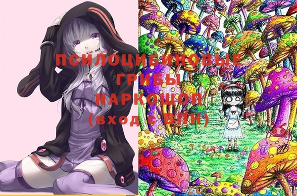 хмурый Алексин