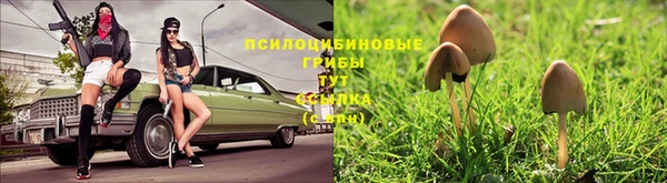 хмурый Алексин