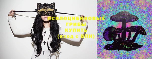 ешки Алзамай